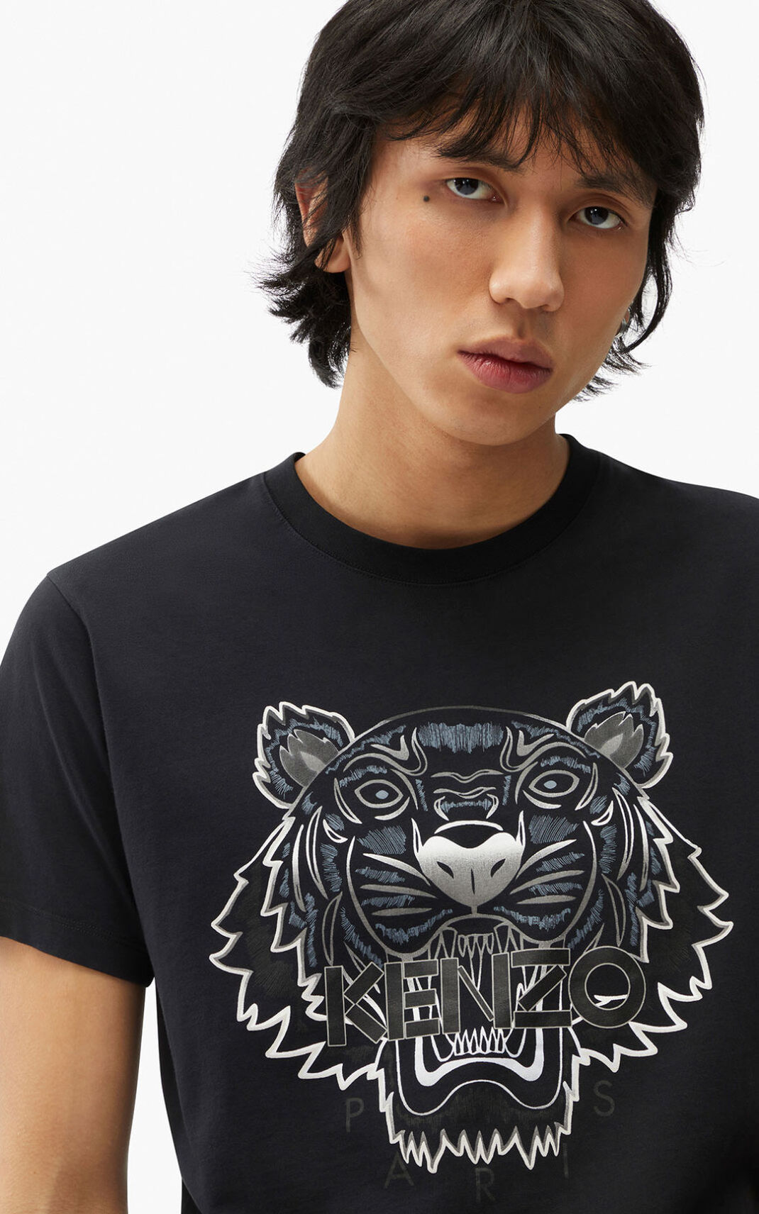 Kenzo Gradient Tiger T Shirt Herr | 23109-BGLQ